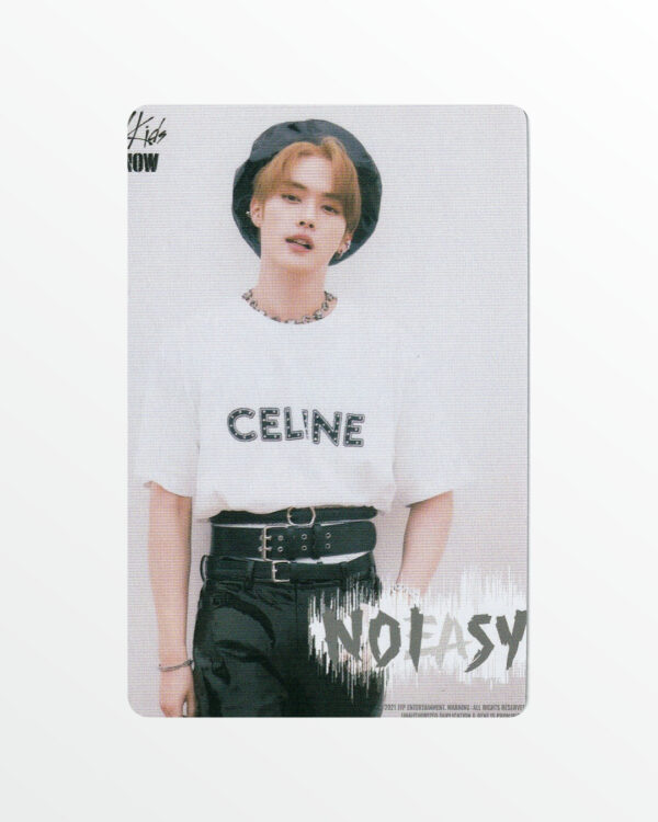 Картка Stray Kids №5, NOEASY, (5,5 × 8,5 см)